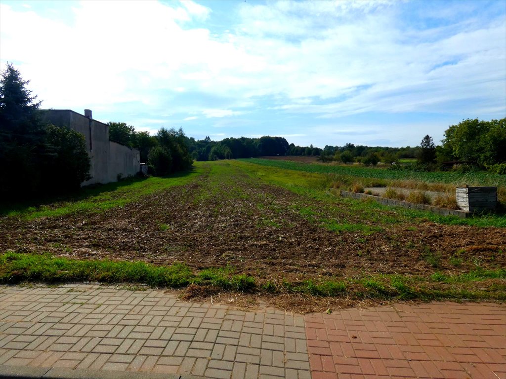 Działka budowlana na sprzedaż Tarnowskie Góry, Bobrowniki Śląskie, Krucza  4 642m2 Foto 1