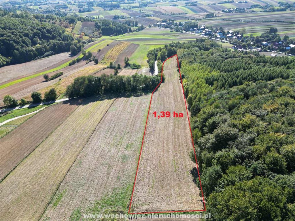 Działka rolna na sprzedaż Podleśna Wola Górna  13 870m2 Foto 1