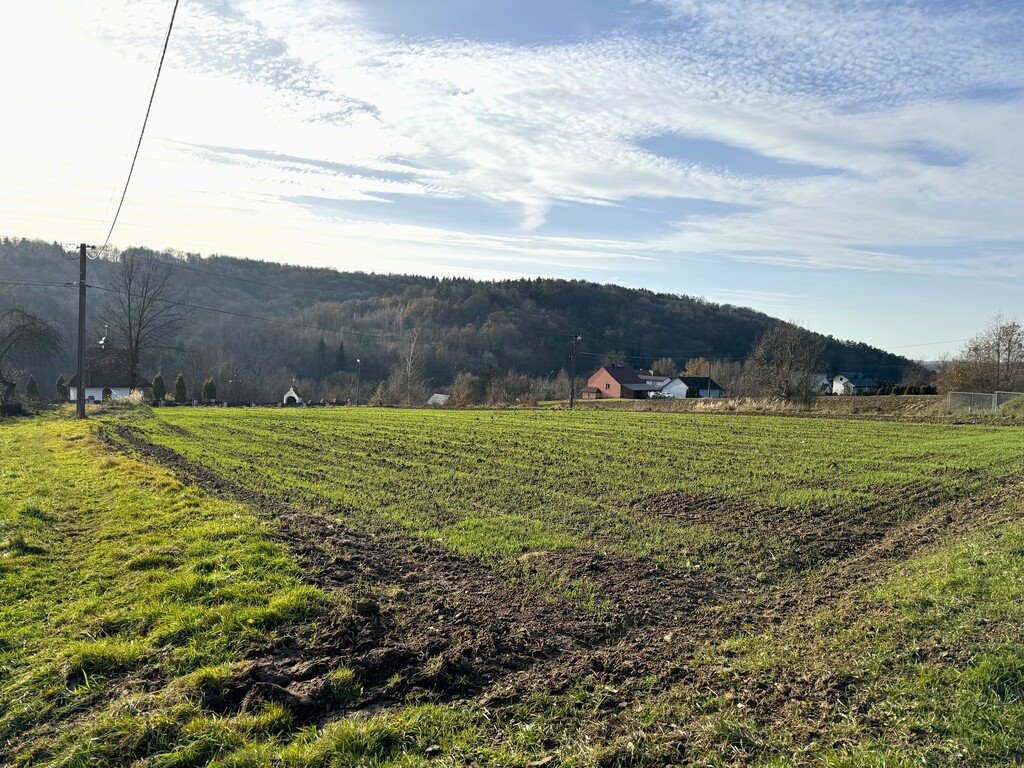 Działka budowlana na sprzedaż Cichawka  11 934m2 Foto 3