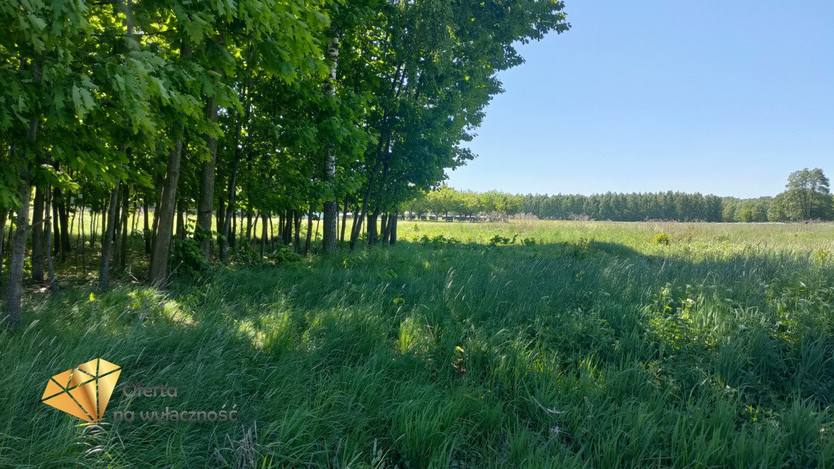 Działka budowlana na sprzedaż Bratnik  8 900m2 Foto 1