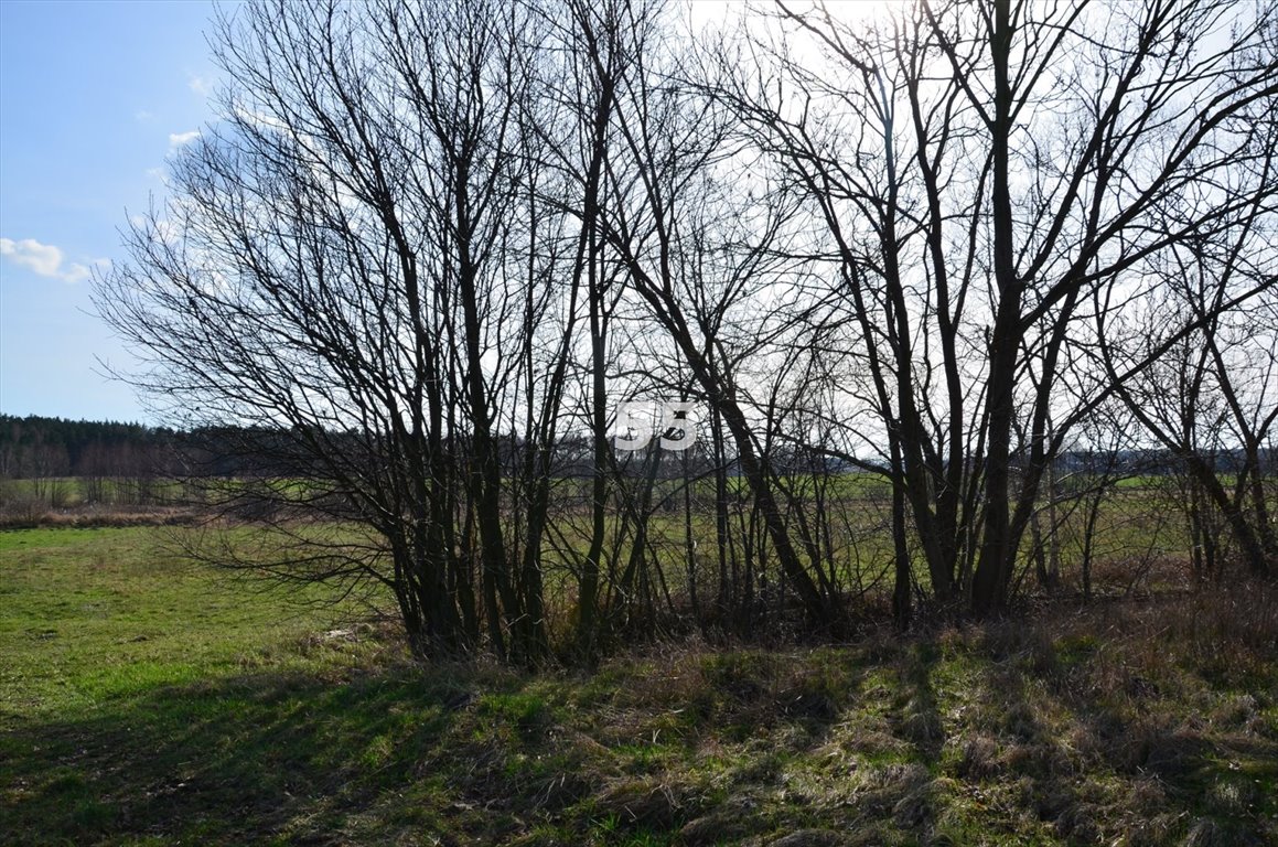 Działka inna na sprzedaż Celestynów, Katarzynów  1 260m2 Foto 9