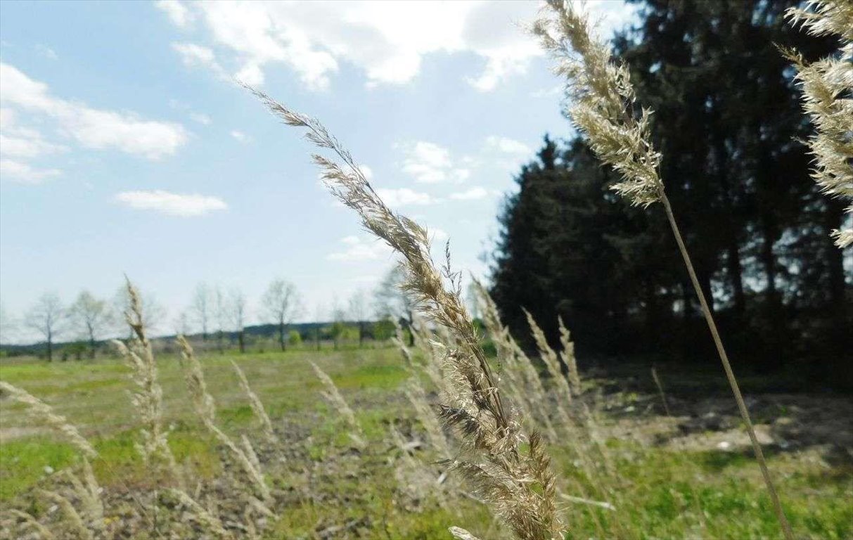 Działka budowlana na sprzedaż Mieściska  1 248m2 Foto 9