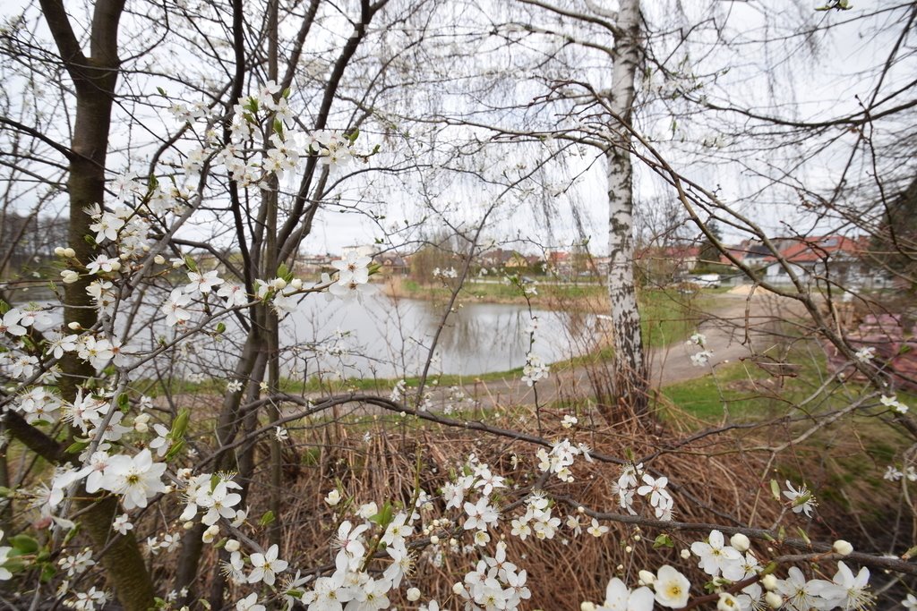 Mieszkanie dwupokojowe na sprzedaż Korfantów  59m2 Foto 6