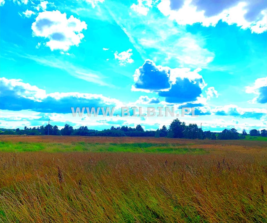 Działka inna na sprzedaż Borawskie  18 300m2 Foto 2