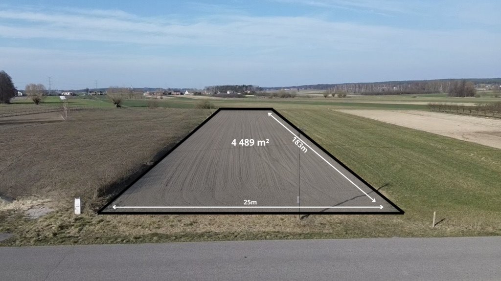 Działka budowlana na sprzedaż Albinów  4 486m2 Foto 5