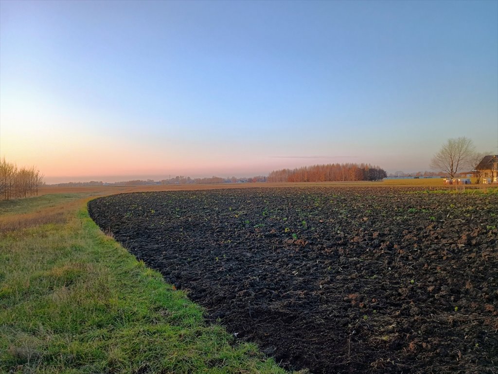 Działka budowlana na sprzedaż Dębina  1 270m2 Foto 1