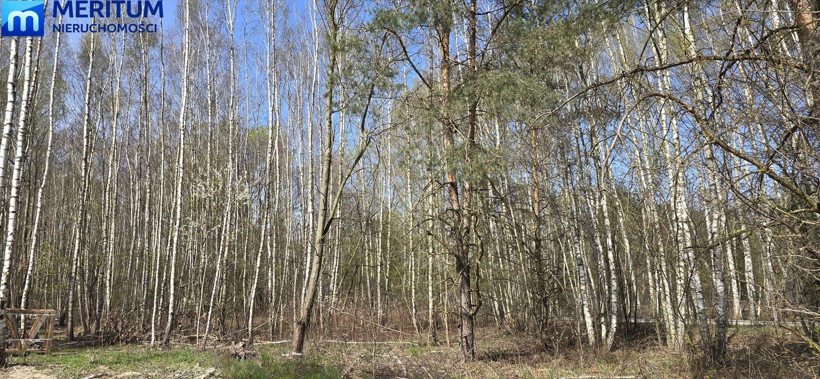 Działka 1500 m² w Radonii - spokój i bliskość natury polecam Radonie  1 500m2 Foto 1