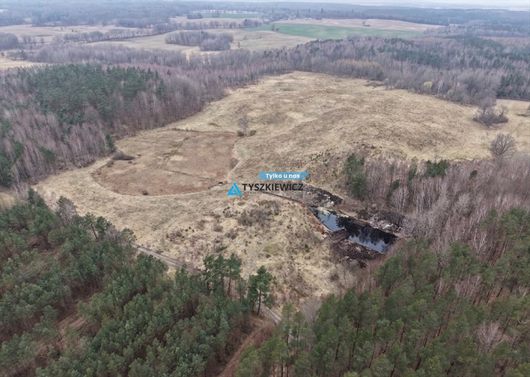 Działka rolna 10,2 ha w Gatce – inwestycja i uprawa Gatka  84 886m2 Foto 1