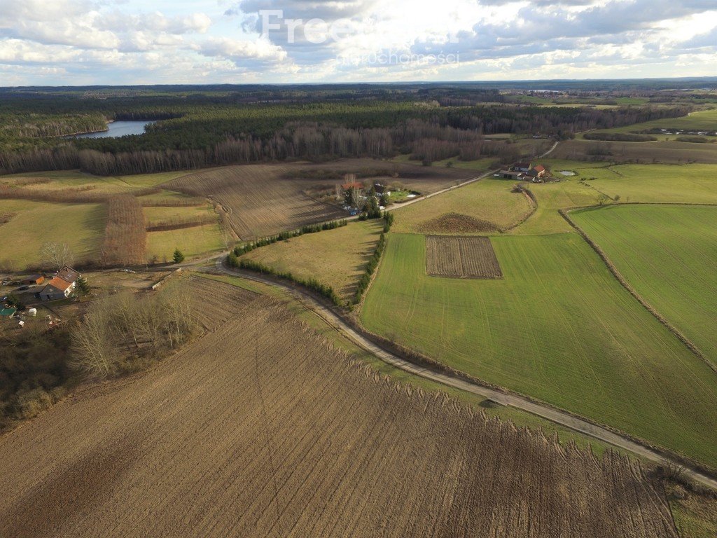 Działka budowlana na sprzedaż Pajtuny  7 063m2 Foto 1