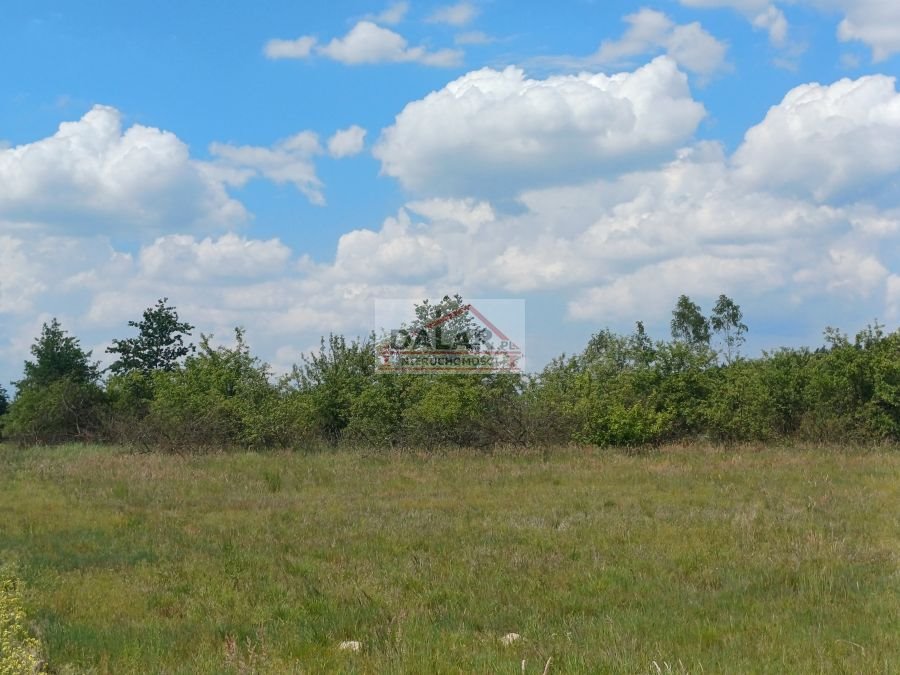 Działka budowlana na sprzedaż Warka, Borowe  1 450m2 Foto 4