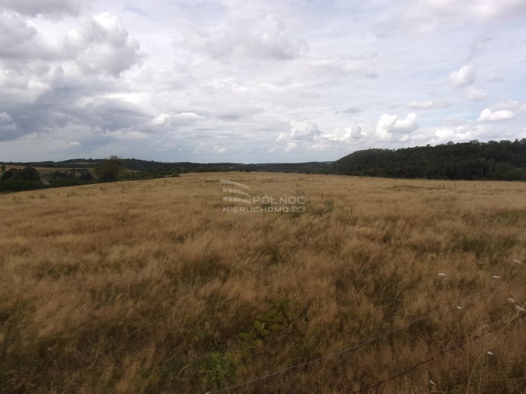 Działka rolna na sprzedaż Płóczki Górne  800 000m2 Foto 3