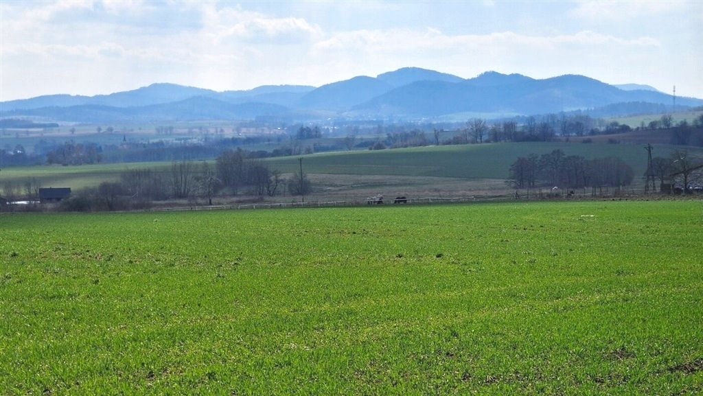 Działka inna na sprzedaż Dziećmorowice, Stary Julianów  1 735m2 Foto 14