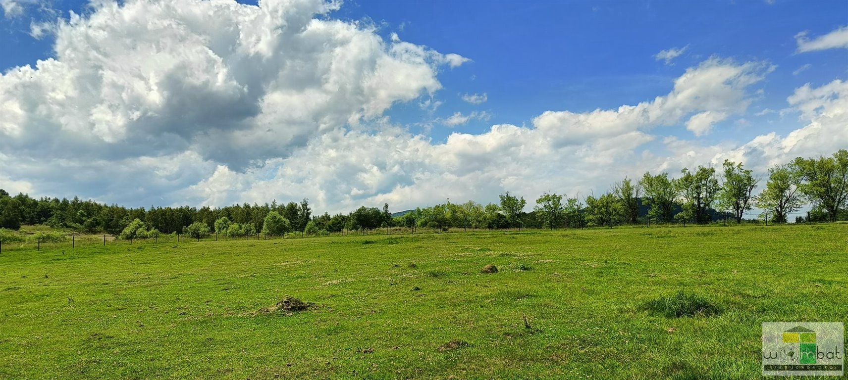 Działka budowlana na sprzedaż Szczawno-Zdrój  131 985m2 Foto 15