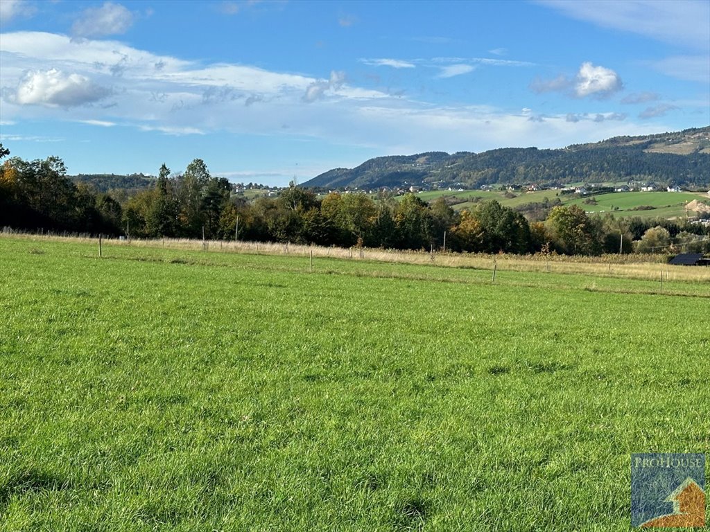 Działka budowlana na sprzedaż Męcina  6 600m2 Foto 13