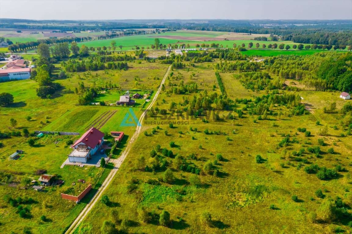 Działka budowlana na sprzedaż Borcz  3 286m2 Foto 4