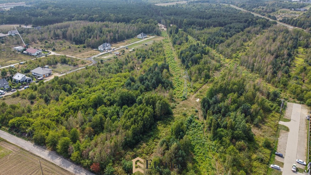 Działka budowlana na sprzedaż Wieliszew  17 300m2 Foto 5