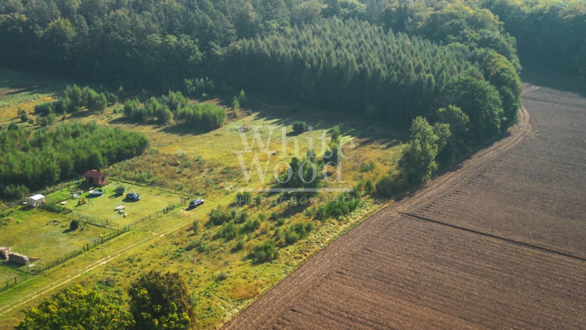 Działka budowlana na sprzedaż Połchowo  1 000m2 Foto 3