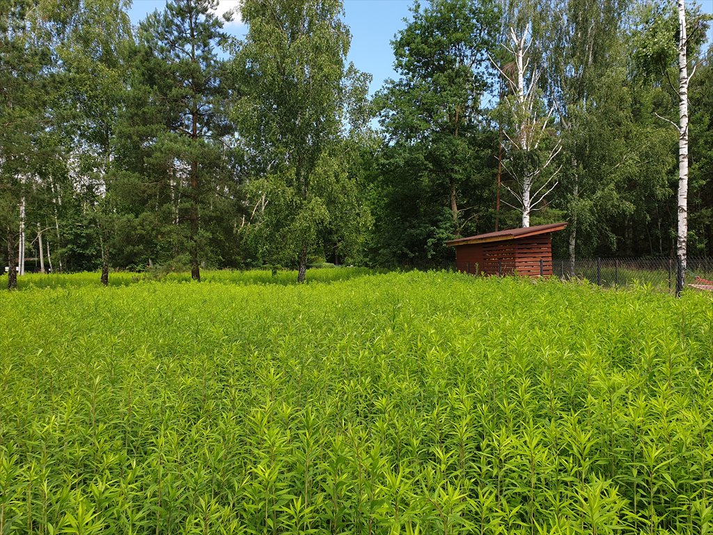 Działka budowlana na sprzedaż Nowy Prażmów  2 097m2 Foto 3