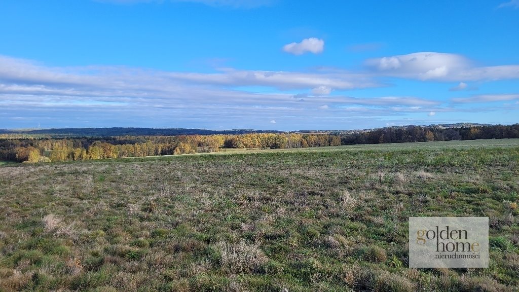 Działka budowlana na sprzedaż Krzewie Wielkie, Krzewie Wielkie  1 217m2 Foto 1