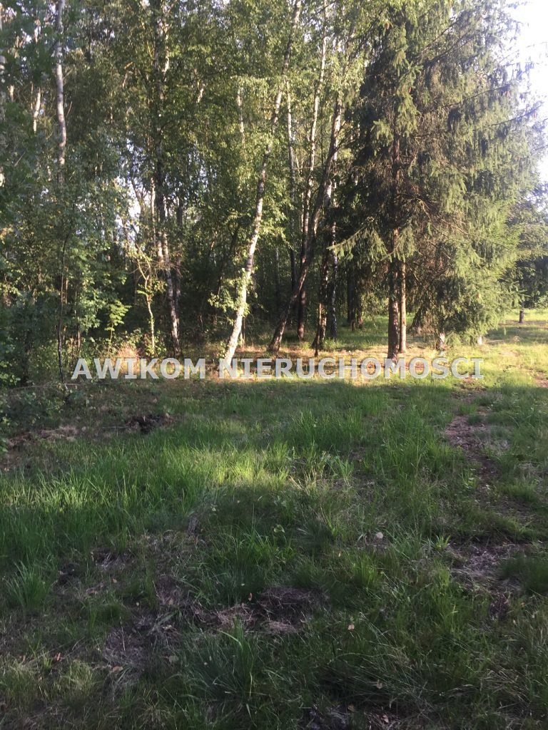 Działka 3850 m² z warunkami zabudowy, las, cisza zapraszam Grodzisk Mazowiecki, Janinów  3 850m2 Foto 1