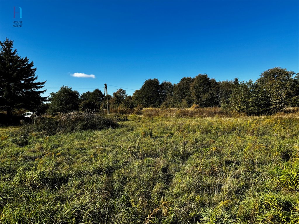 Działka rolna na sprzedaż Janów  2 997m2 Foto 8