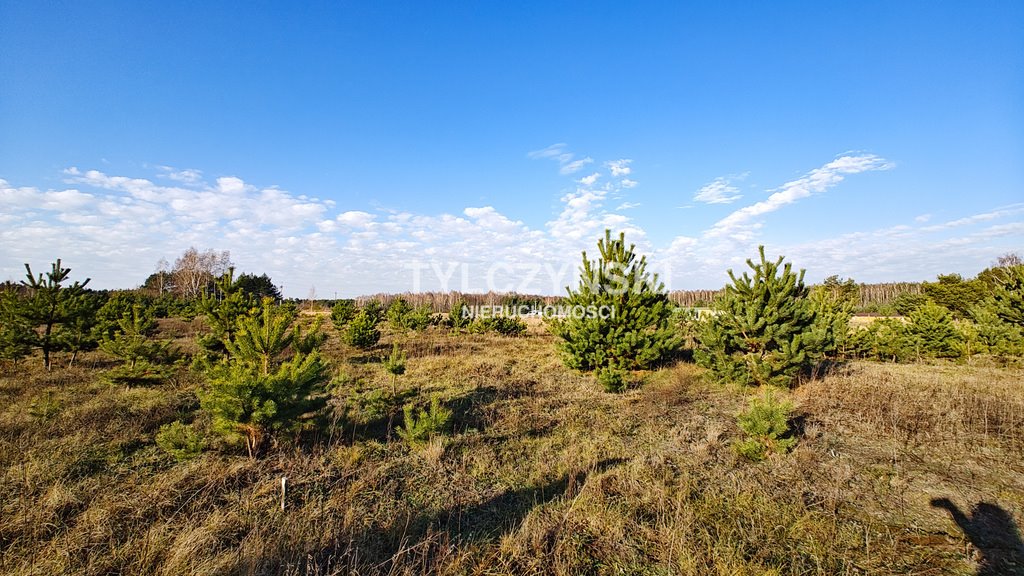 Działka budowlana na sprzedaż Krzyżówka  1 254m2 Foto 4