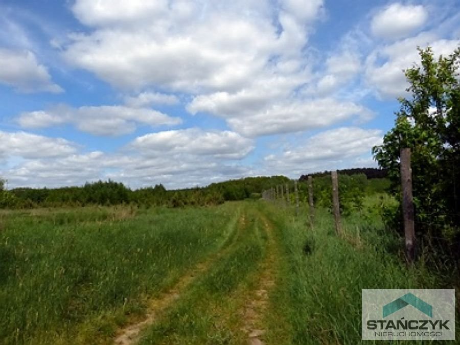 Działka rolna pod fotowoltaikę 1,45 ha w Kamieniu Pomorskim Stawno  14 500m2 Foto 1