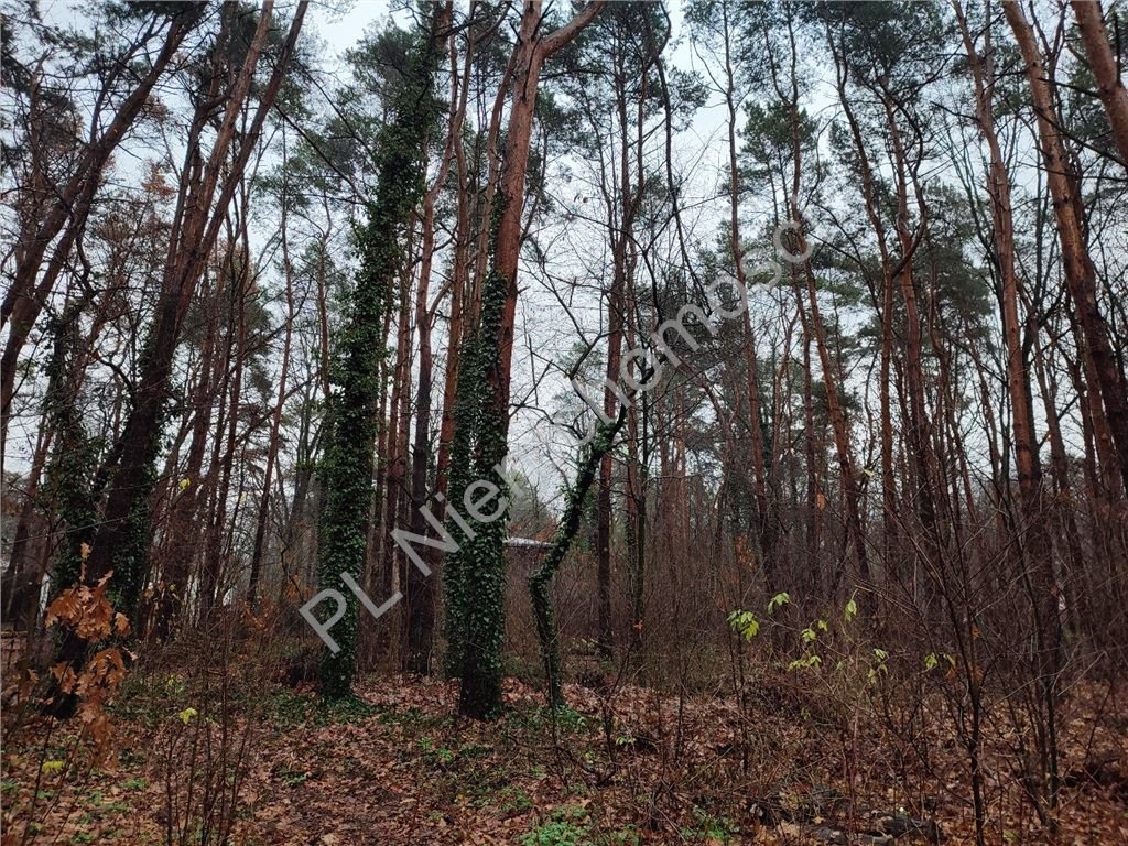 Działka budowlana na sprzedaż Owczarnia  1 512m2 Foto 1