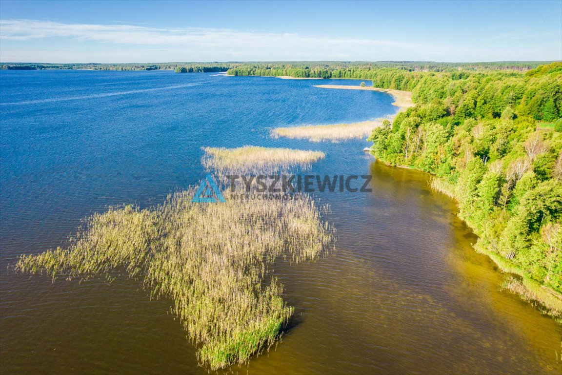 Działka budowlana na sprzedaż Peplin  4 000m2 Foto 10