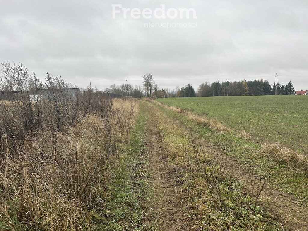 Działka inna na sprzedaż Karbowskie  3 037m2 Foto 13