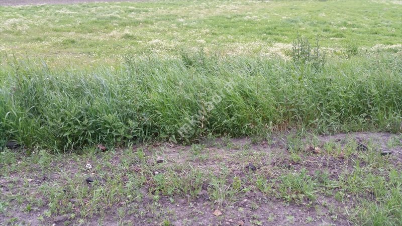 Działka rolna na sprzedaż Grądki 33 700m2 Foto 1 Działka rolna na sprzedaż Grądki 33 700m2 Foto 1