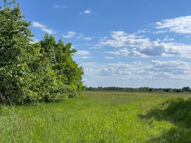 Dom na sprzedaż Działy Czarnowskie  180m2 Foto 15