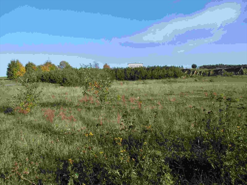 Działka komercyjna na sprzedaż Zakrzewo 18 000m2 Foto 1 Działka komercyjna na sprzedaż Zakrzewo 18 000m2 Foto 1