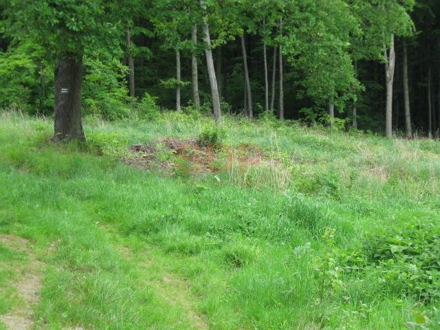 Działka budowlana na sprzedaż Kuropatnik, Letniskowa  3 350m2 Foto 5