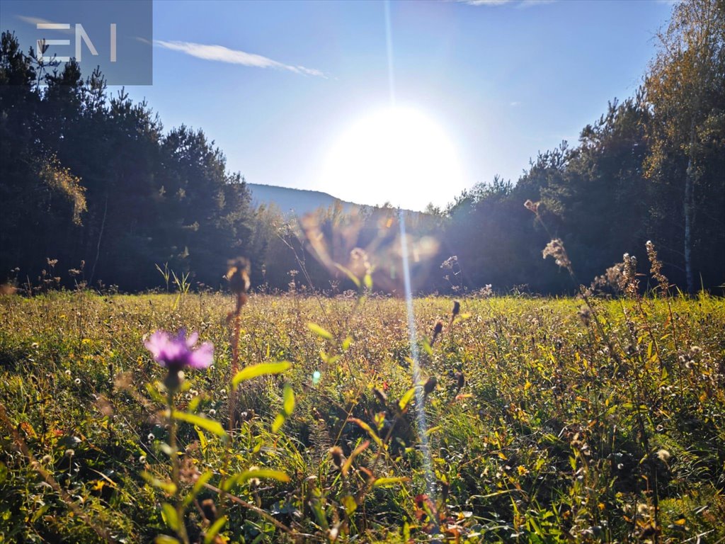 Działka budowlana na sprzedaż Wysoka Strzyżowska  2 700m2 Foto 9