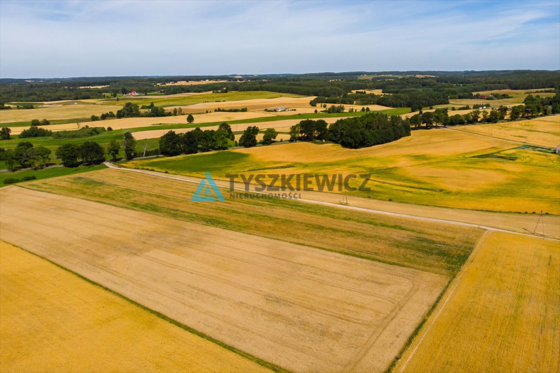 Działka siedliskowa na sprzedaż Szatarpy  56 000m2 Foto 8