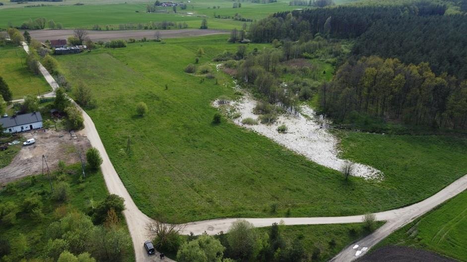 Działka budowlana na sprzedaż Pilec  3 000m2 Foto 6