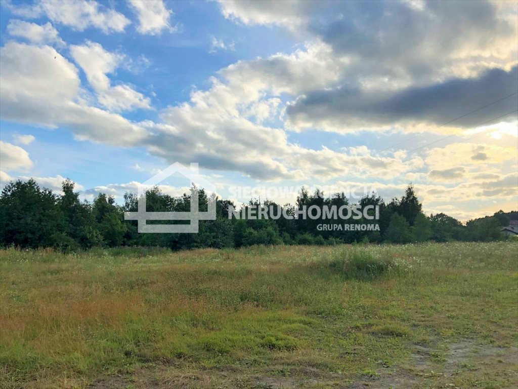 Działka usługowa 8 072 m2 w Łebczu – inwestycja blisko Władysławowa Łebcz  8 072m2 Foto 1