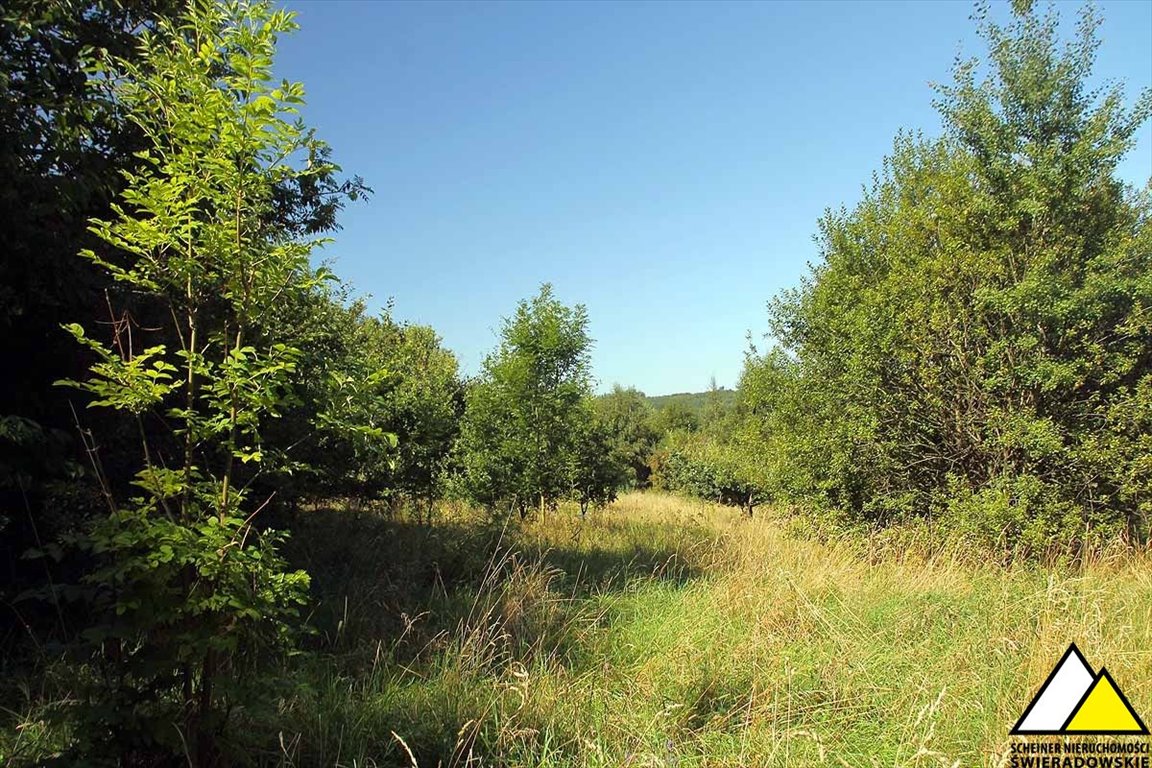 Działka budowlana na sprzedaż Świecie  1 050m2 Foto 1