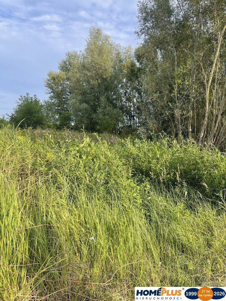 Zdjęcie 6