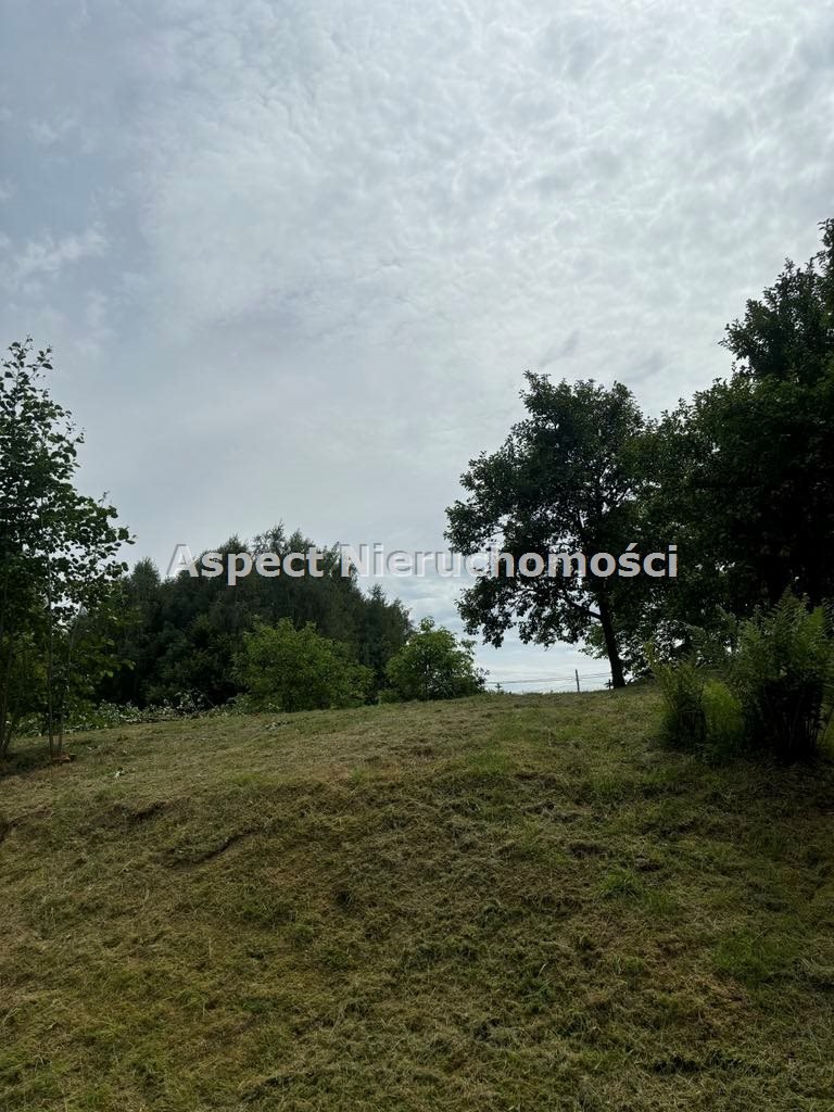 Działka budowlana na sprzedaż Kończyce Małe  4 849m2 Foto 12