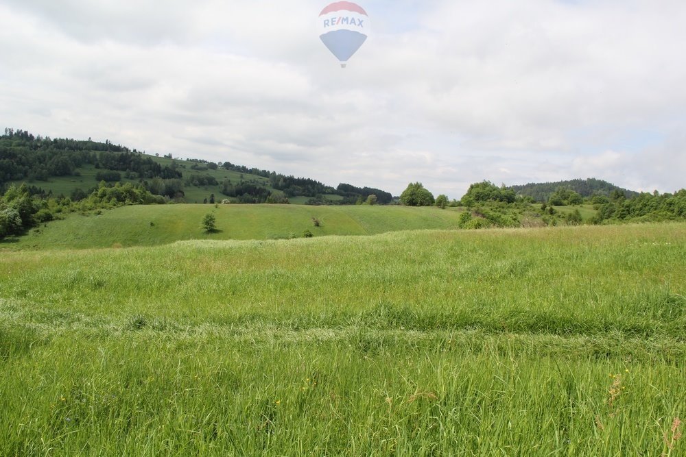 Działka leśna na sprzedaż Krośnica  8 049m2 Foto 12