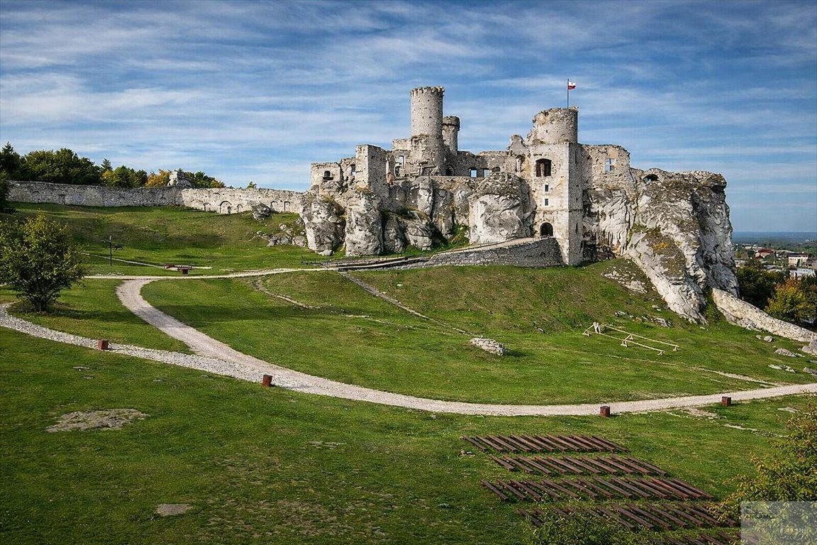 Zespół działek 4 ha z lasami i gruntami rolnymi (możliwość przekształcenia na budowlane) Podzamcze  40 006m2 Foto 1