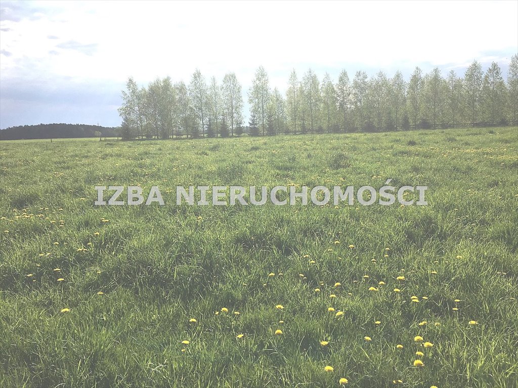 Działka rekreacyjna na sprzedaż Kucze  4 305m2 Foto 10