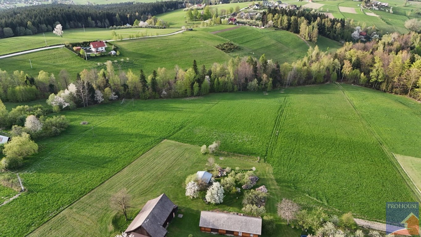 Działka budowlana na sprzedaż Stara Wieś  14 000m2 Foto 13