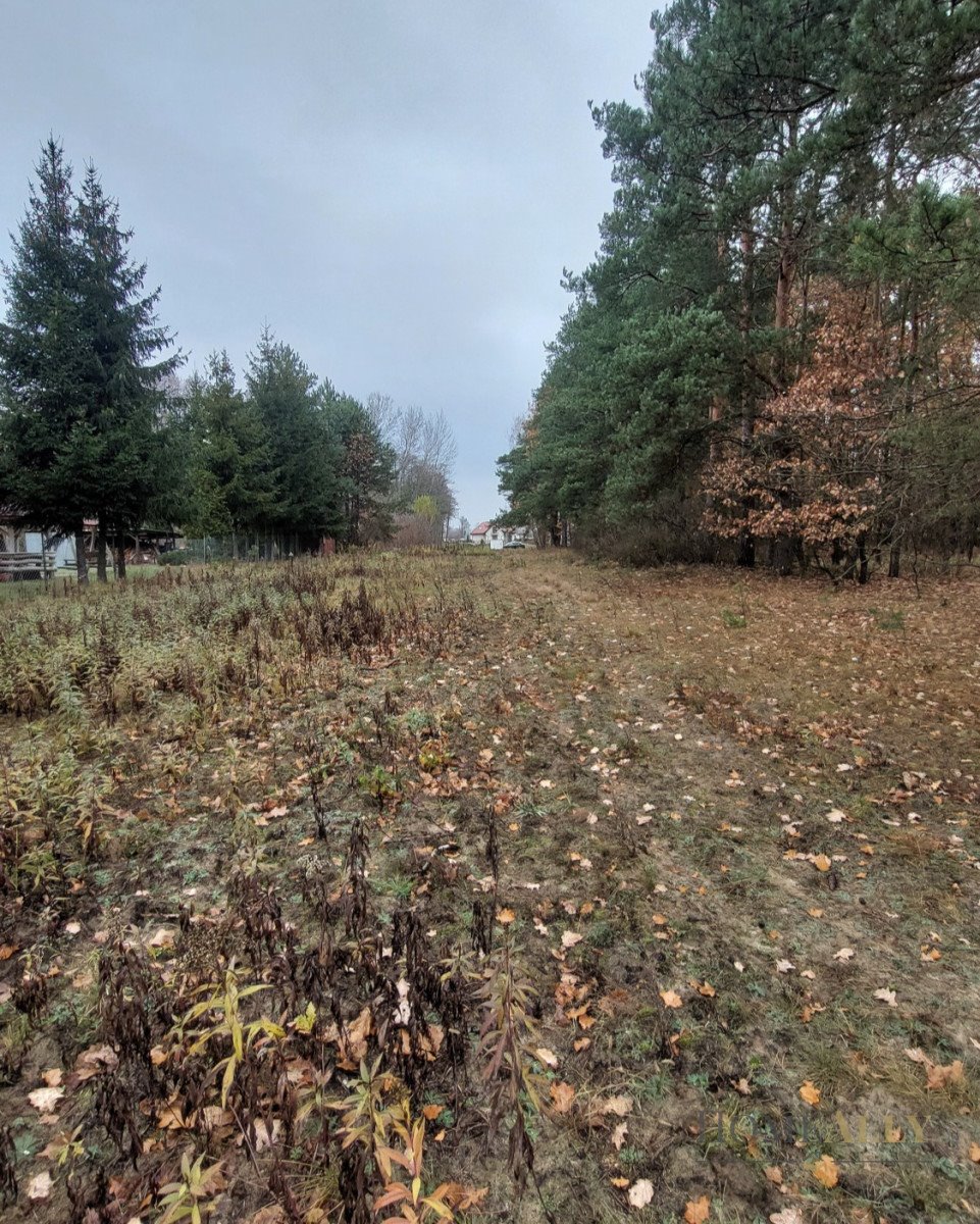 Działka siedliskowa na sprzedaż Stanisławów  8 600m2 Foto 1