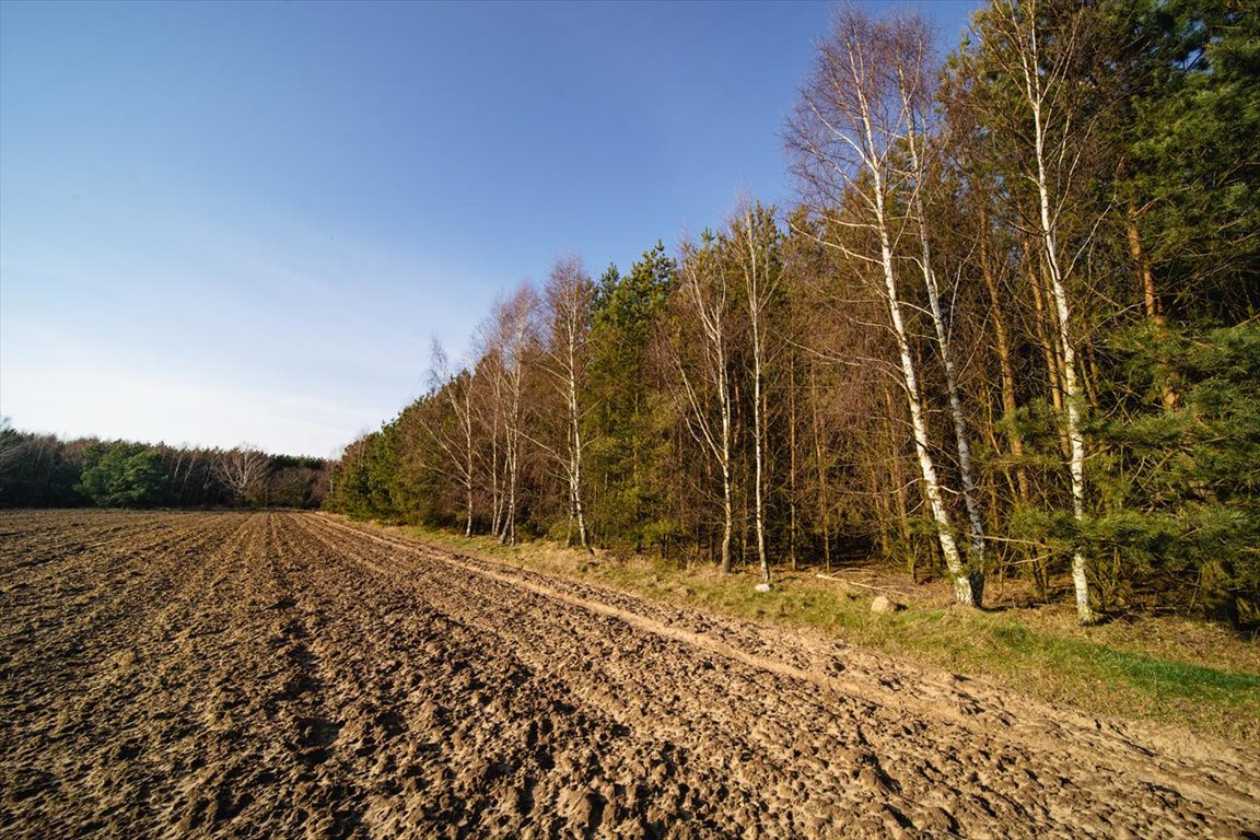 Działka 801 m2 pod zabudowę w Siemianicach, blisko lasu Ustka, Działki przy lesie 20min od Ustki - OKAZJA!  801m2 Foto 1