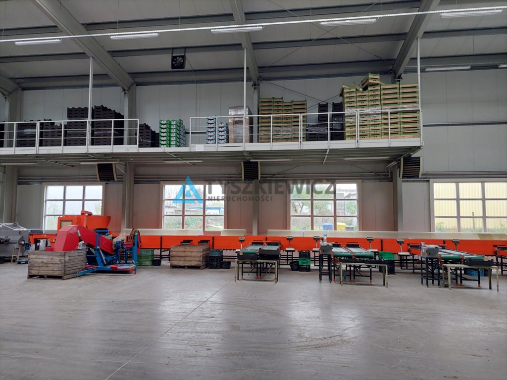 Lokal użytkowy na sprzedaż Mieścin  1 580m2 Foto 8