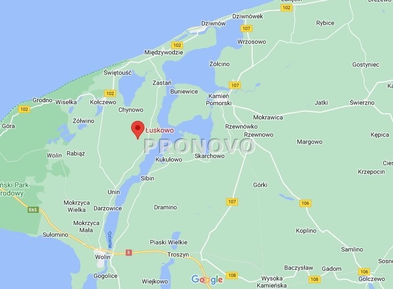 Działka 1,38 ha pod zabudowę i rekreację w Łuskowie Łuskowo  13 800m2 Foto 1