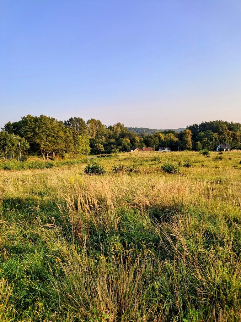 Działka przemysłowo-handlowa na sprzedaż Maks  7 280m2 Foto 3